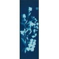 thumbnail image 2 of Guthrie, Jenna 13x32 White Modern Wood Framed Museum Art Print Titled - Cyanotype No.14, 2 of 4