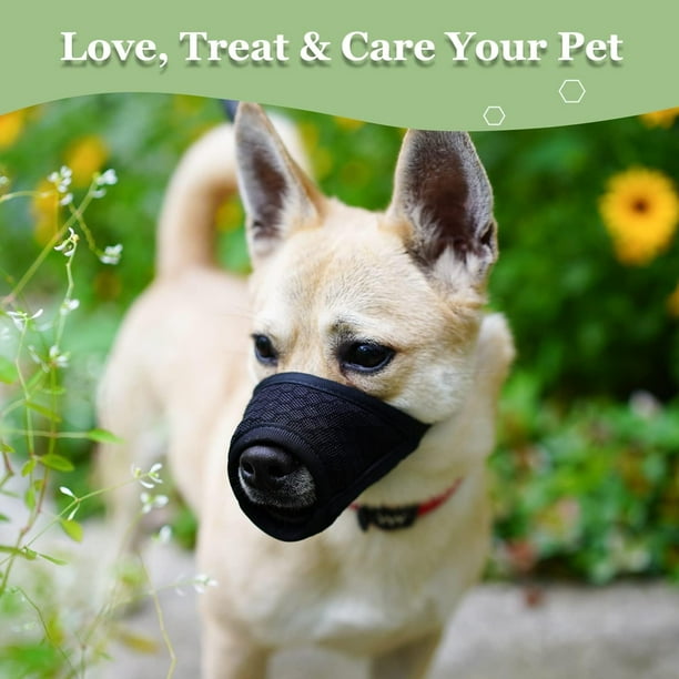 Dog mouth guard walmart hot sale