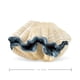 thumbnail image 4 of Peluche Hand Puppet Folkmanis Giant Clam Sea Life, 4 of 4