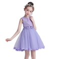 thumbnail image 1 of Robe de Princesse pour Fille - Petite Robe Mignonne et Exquise, Robe de Fête en Tulle, 1 of 5