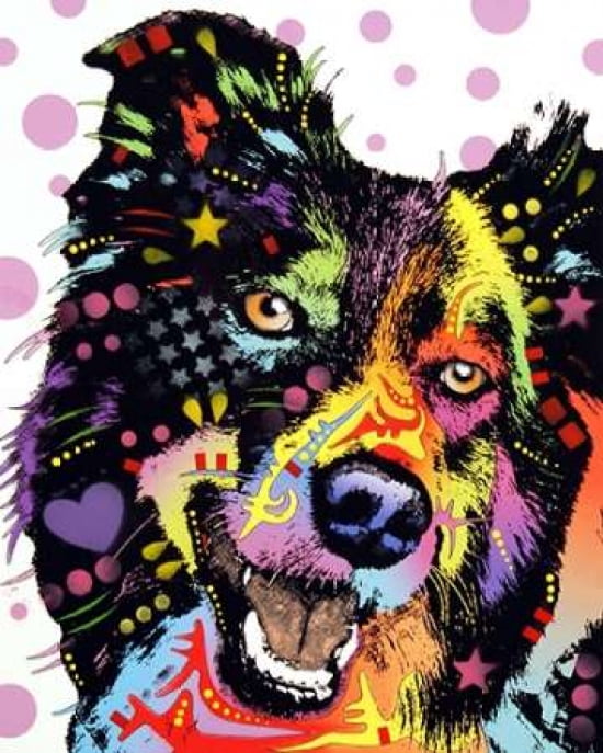 Border Collie Canva