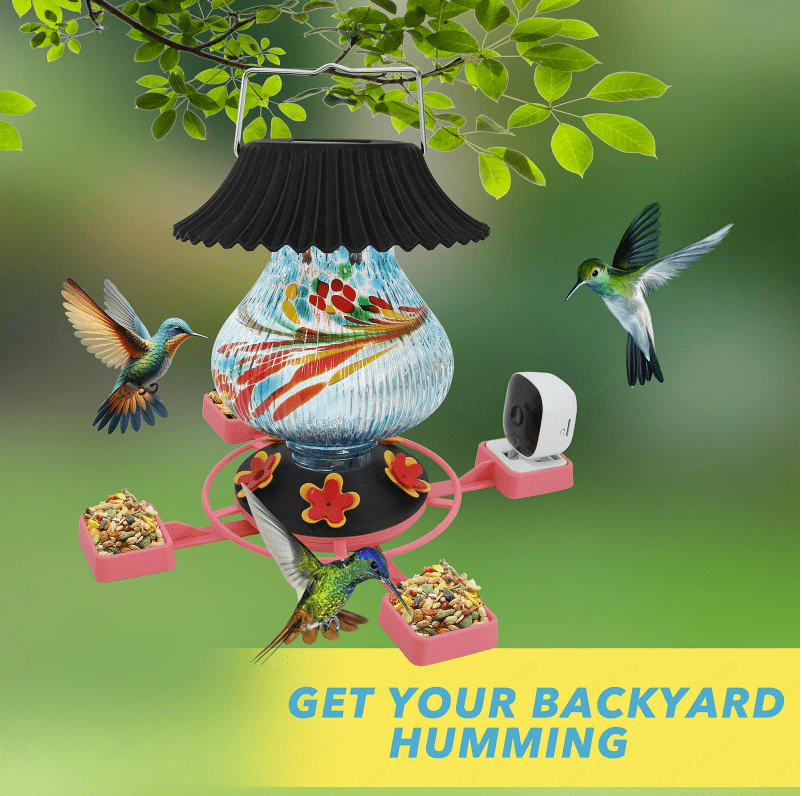Hummingbird Feeder with Camera Solar Powered 1080P-, Automatically Identifies Species of Bird, Auto Recording, Leak-Proof Ant & Bee Proof Outdoor Hanging Feeder, for Bird Lovers