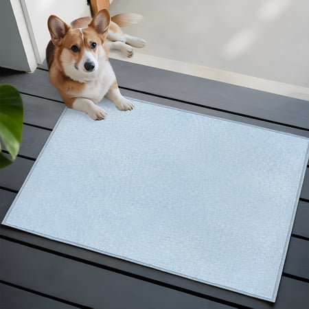 Light Blue Washable Entry Rug 2x3 Natural Solid Color Organic Mottling Texture Low Pile Indoor Door Mat with Rubber Backing Thin Area Rug for for Entrance, Bedroom, Kitchen, Laundry, Bathroom