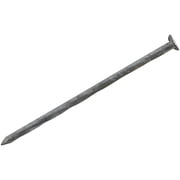 Do it Hot Galvanized Siding & Deck Nail - Single Pack