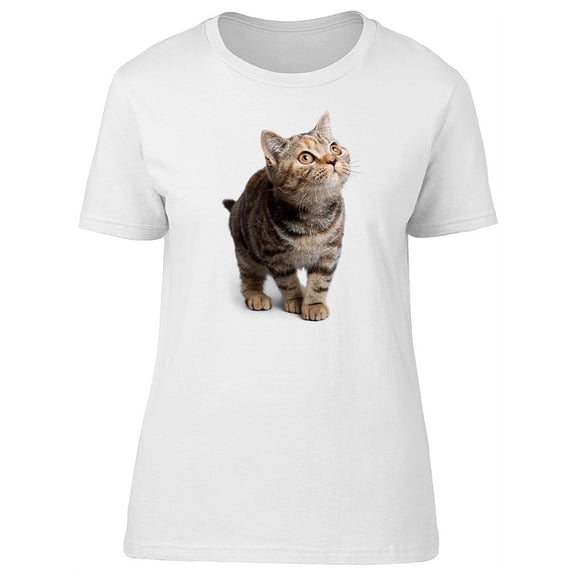 Striped Red British Cat, Cute T-Shirt Women -Image by Shutterstock, Female Large