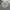 Gray, variant on Lochas Soft Vintage Floral Area Rugs Floor Carpet Non Slip Rug for Living Room Bedroom Dining Kitchen Home Decor,4'x6',Gray