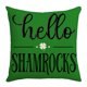 thumbnail image 1 of Cojín de asiento, artículos esenciales para dormitorio, funda de almohada con estampado irlandés, cojín decorativo para sofá del Día de San Patricio, regalo para hombre, regalo para mujer, cojines dec, 1 of 2