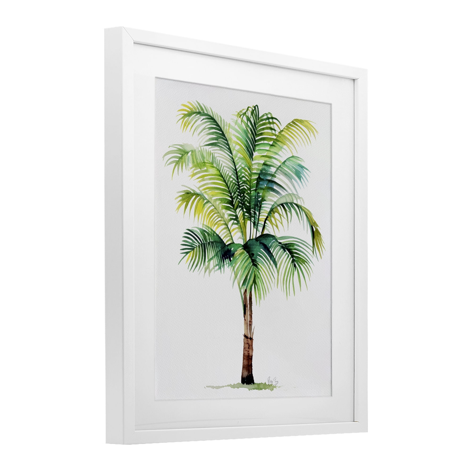 Stupell Industries Breezy Fronds Palm White Framed Print Under Glass, design by Shelly Craig