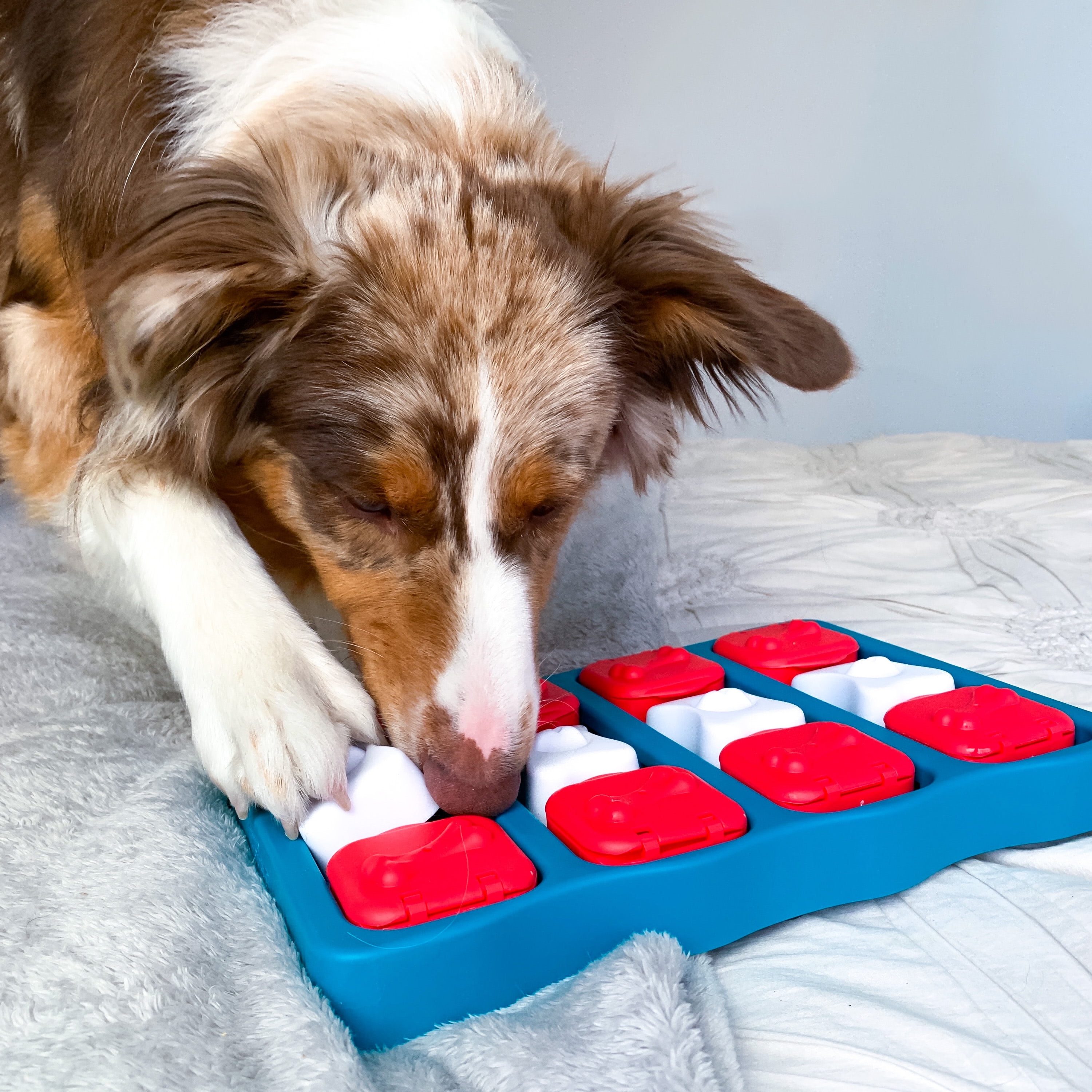 Outward Hound Nina Dog Brick Interactive Treat Puzzle Dog Toy, Blue,  One-Size