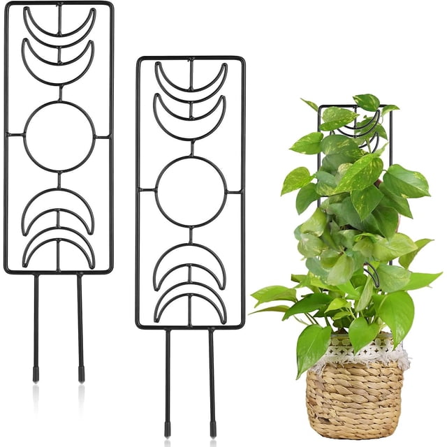 2 enrejados para plantas trepadoras de 36 x 10 cm, soporte para plantas trepadoras con 20 lazos para plantas de interior para macetas de jardín, plantas trepadoras de flores de interior (negro)