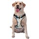 thumbnail image 1 of Fotbe Childish Dinosaur Arnés para Perro con Estampado –Chaleco Ajustable Acolchado con Asa de Control para Perros Grandes-X-Large, 1 of 6