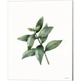 thumbnail image 3 of Great Art Now Eucalyptus by Seven Trees Design 3 Piece Canvas Art Set Each 12"W x 15"H, 3 of 4
