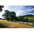 thumbnail image 2 of Alan Hausenflock 14x11 White Modern Wood Framed Wall Art Titled - Humpback Mountain, 2 of 5