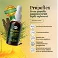 thumbnail image 2 of Suplemento de extracto de propóleo verde Beelife Propoflex 30 ml, 2 of 7