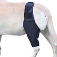 thumbnail image 1 of Férula para patas traseras de perros | Salud de las articulaciones para perros, la envoltura de la articulación del corvejón de la pierna trasera del perro protege las heridas, la abrazadera de compresión cura esquí esquí Gafas de esquí, 1 of 5
