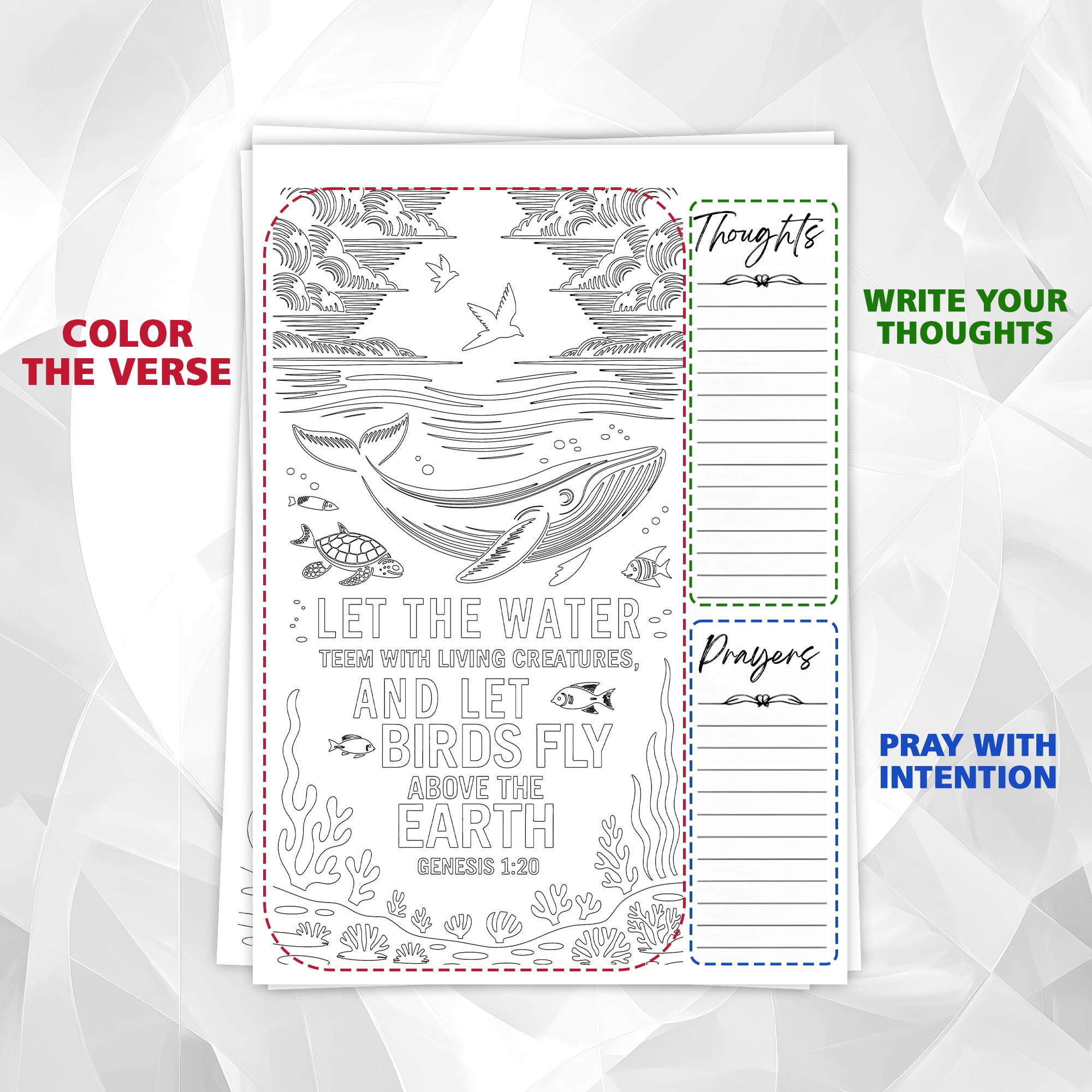 Genesis Monochrome Coloring Book for Adults, 30 Minimalist Scripture Art Pages with Reflection & Prayer Space, Spiral Bound, A4 or A5 Softcover or Wood Cover
