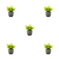 thumbnail image 3 of Decodeary Green Eco-friendly Artificial Money Tree In Pot Long-lasting Durability Realistic Appearance yellow rose 5Set, 3 of 6