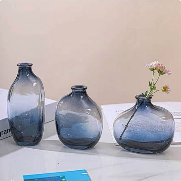 WYBXZ Ins Style Glass Vase Model C, Hydroponic Vase for Green Plants, Modern Flower Vase for Living Room, Minimalist Home Decor, Wedding Party Favor