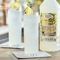 thumbnail image 2 of Master of Mixes 1 Liter Premium Tom Collins Mix, 2 of 2