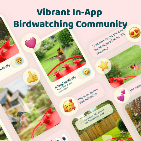 BIRDFY - Smart Hummingbird Feeder, w/Dual HD Cameras, Solar Power, and AI Enabled Bird Recognition - Red and White