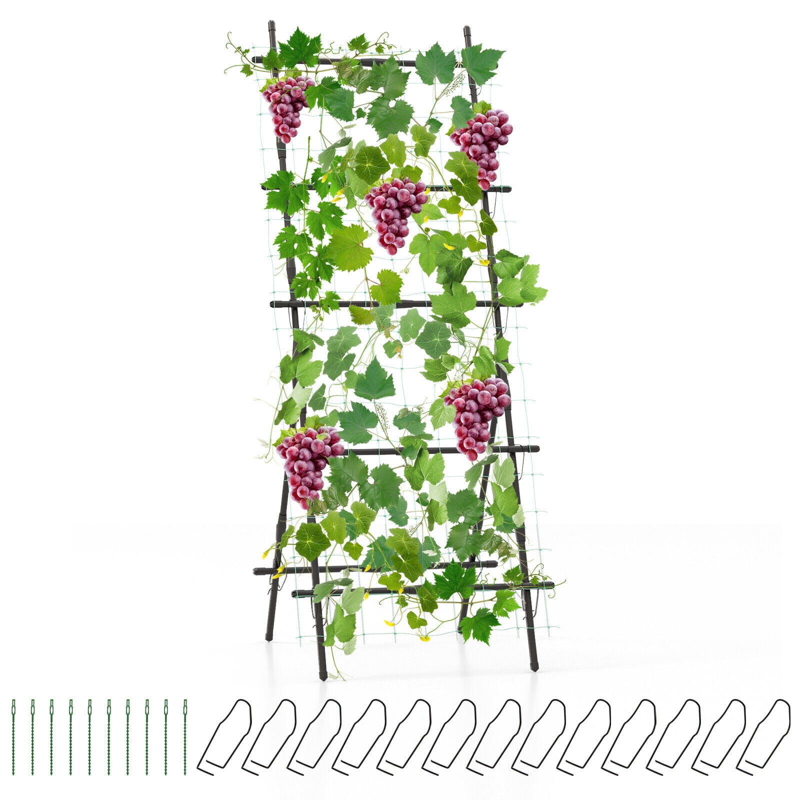 Amijoy 74" Garden Cucumber Trellis for Plant Climbing w/ PE-Coated Frame, Trellis Net