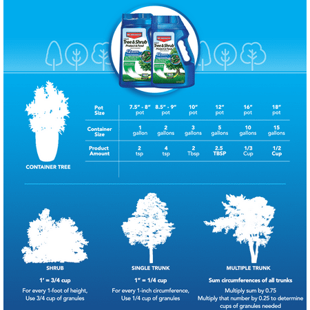 BioAdvanced 12-Month Tree & Shrub Protect & Feed, Granules, Insecticide and Fertilizer, 4 lbs