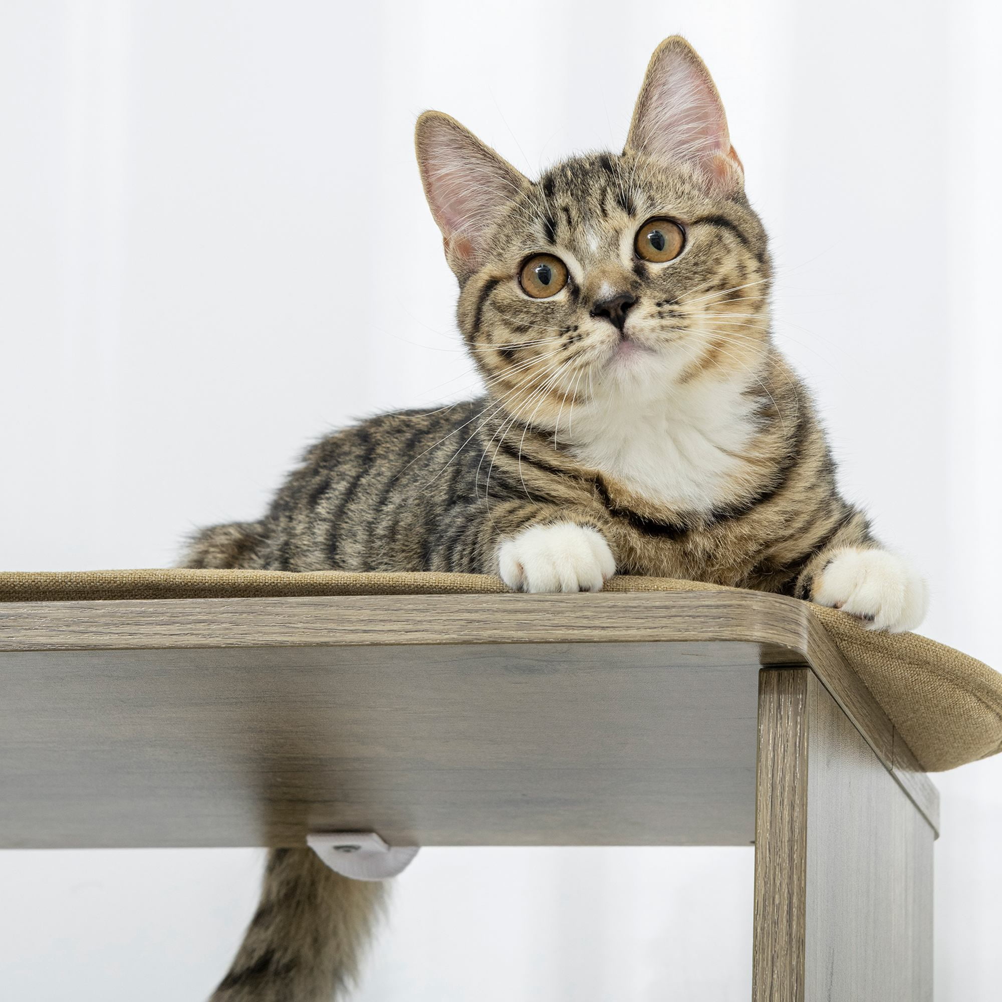 PawHut 65" Corner Modern Cat Tree Tall for Climbing with Scratching Posts