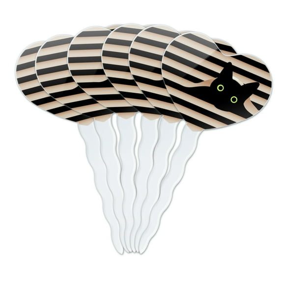 Black Cat In Window Heart Love Cupcake Picks Toppers Decoration Set of 6