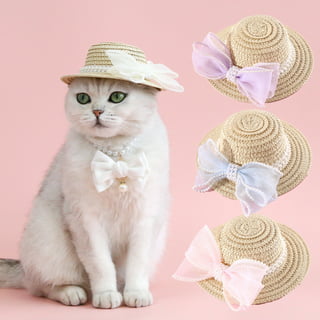 Pet Dog Cat Summer Hat with Wide Brim Cool Straw Hat Sun Hats Puppy Kitten  Hawaii Style Pet Accessories Dogs Cats Party Hats Small and Medium Size  Esg12620 - China Pet Hat