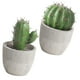 thumbnail image 5 of 2 piezas de cactus artificiales en maceta para decorar el escritorio., 5 of 7