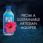 FIJI Natural Artesian Bottled Water 500mL / 16.9 fl oz (Pack of 24)