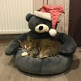 thumbnail image 3 of Super Soft Pet Bed Winter Warm Cute Bear Hug Cat Sleeping Mat Plush Large Puppy Dogs Cushion Sofa Comfort Pet Supplies ShopWise Round, 3 of 10