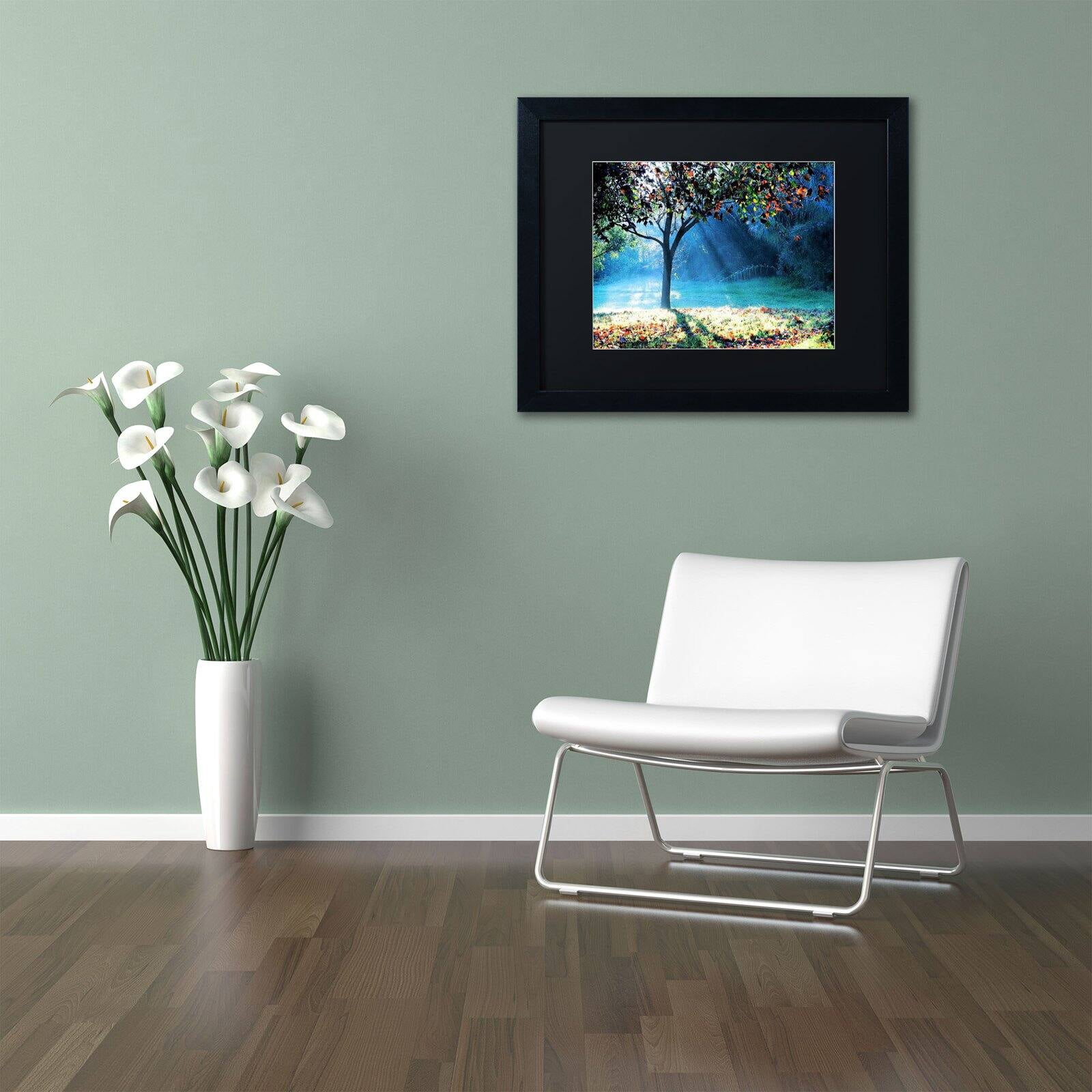 Trademark Fine Art "Rays of Hope" Canvas Art by Beata Czyzowska Young, Black Matte, Black Frame