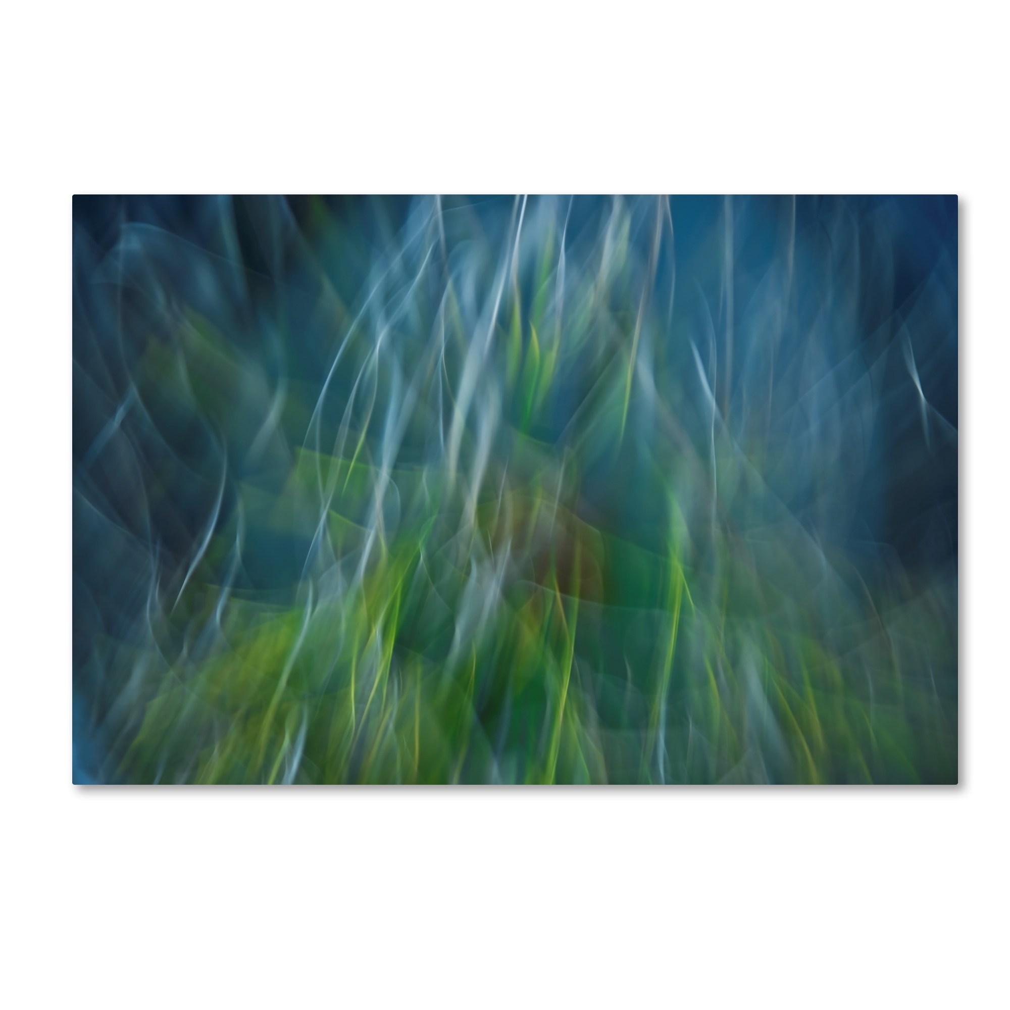 Paulo Abrantes 'Electro Shock Blues' Canvas Art