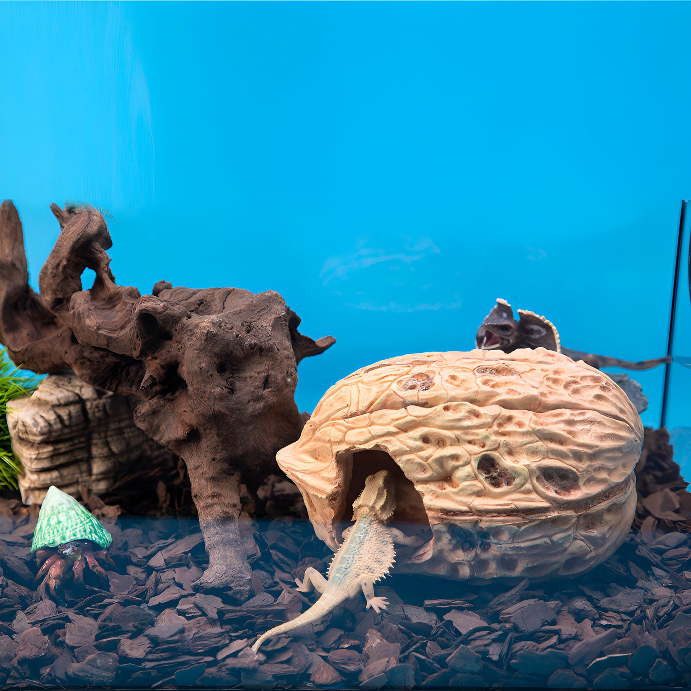 XIBUFE Pumpkin Leopard Gecko Hide Reptile Bearded Dragon Tank Hideout Caves Accessories Halloween Turtle Lizard Snake Décor Amphibian Habitat Tortoise Terrarium Decoration