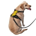 thumbnail image 2 of ZNDUO Retro Grunge Danger Pattern Dog Harness, Adjustable Reflective Pet Harness with Dog Leash, 2 of 8