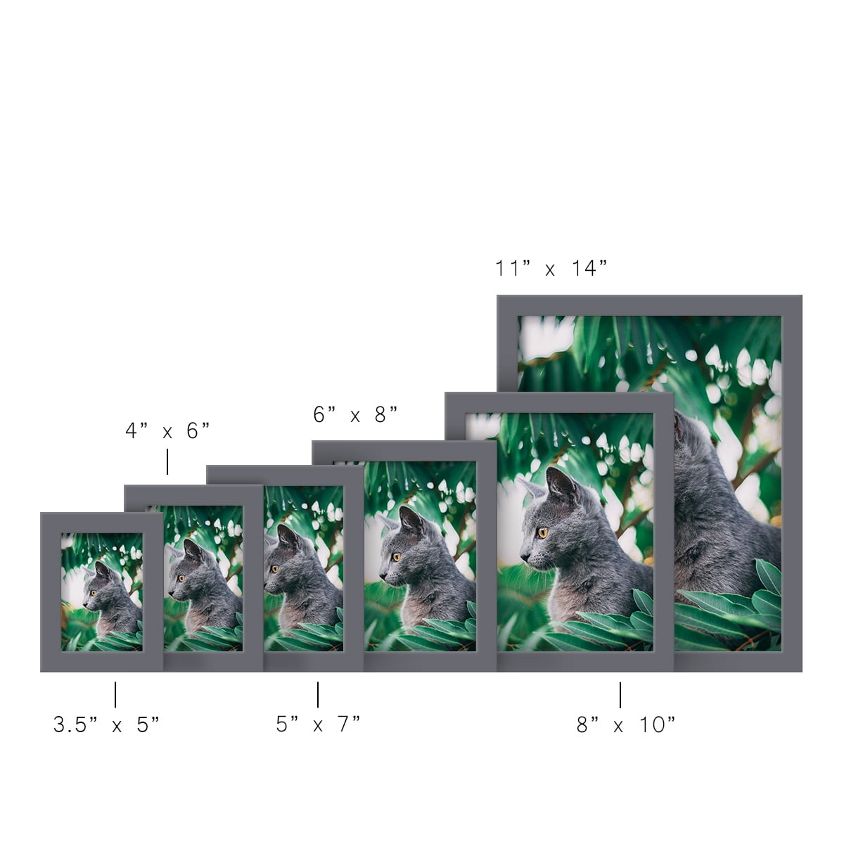 Modern 5 in. x 7 in. Grey Picture Frame (Set of 4)