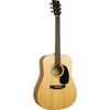 Recording King RD-06-M Solid Top Dreadnought Acoustic Guitar, Natural Gloss Matte