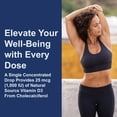 thumbnail image 4 of Gotas de vitamina D Carlson Super Daily D3 1000 UI 365 gotas, 4 of 9