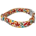 thumbnail image 4 of Country Brook Petz® Premium Brisk Autumn Dog Collar and Leash, Small, 4 of 6