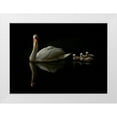 thumbnail image 1 of Golub, Robert 24x18 White Modern Wood Framed Museum Art Print Titled - Swan Babies, 1 of 4