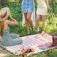 thumbnail image 5 of LHSHID 15th Birthday Gifts for Girls Blanket Flannel Soft and Comfortable Anti static Bed Sofa Blanket 60x80in, 5 of 6