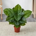 thumbnail image 2 of Nearly Natural 27" Large Leaf Philodendron Artificial Plant (Real Touch), Green, 2 of 3