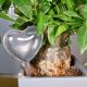thumbnail image 1 of Riego Automático Sistema de riego por goteo Riego automático Plantas con pinchos Botella de agua con flores (F) Wdftyju Libre de BPA, 1 of 4