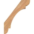 thumbnail image 3 of 5 1/2"W x 20"D x 26"H Olympic Smooth Knee Brace, Western Red Cedar, 3 of 4