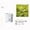 Green, variant on Candles & Holders Aromatherapy Lights for Bedroom - Scented Candle Set for Home Fragrance and, 6.3x7.6 cm, Yellow