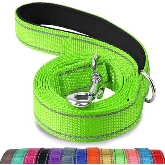 Eryueer Double-Sided Reflective Dog Leash, 6 FT/5FT/4 FT, Padded Handle Nylon Dogs Leashes for Walking, Training Lead for Medium & Large Dogs, Green, 5FT