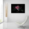 thumbnail image 6 of Epic Art 'Salmon Waratah I' by Elise Catterall, Acrylic Glass Wall Art, 36"x24", 6 of 8