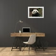 thumbnail image 3 of Zuckerman, Jim 32x23 White Modern Wood Framed Museum Art Print Titled - China, Chengdu Panda Base Young giant panda, 3 of 4