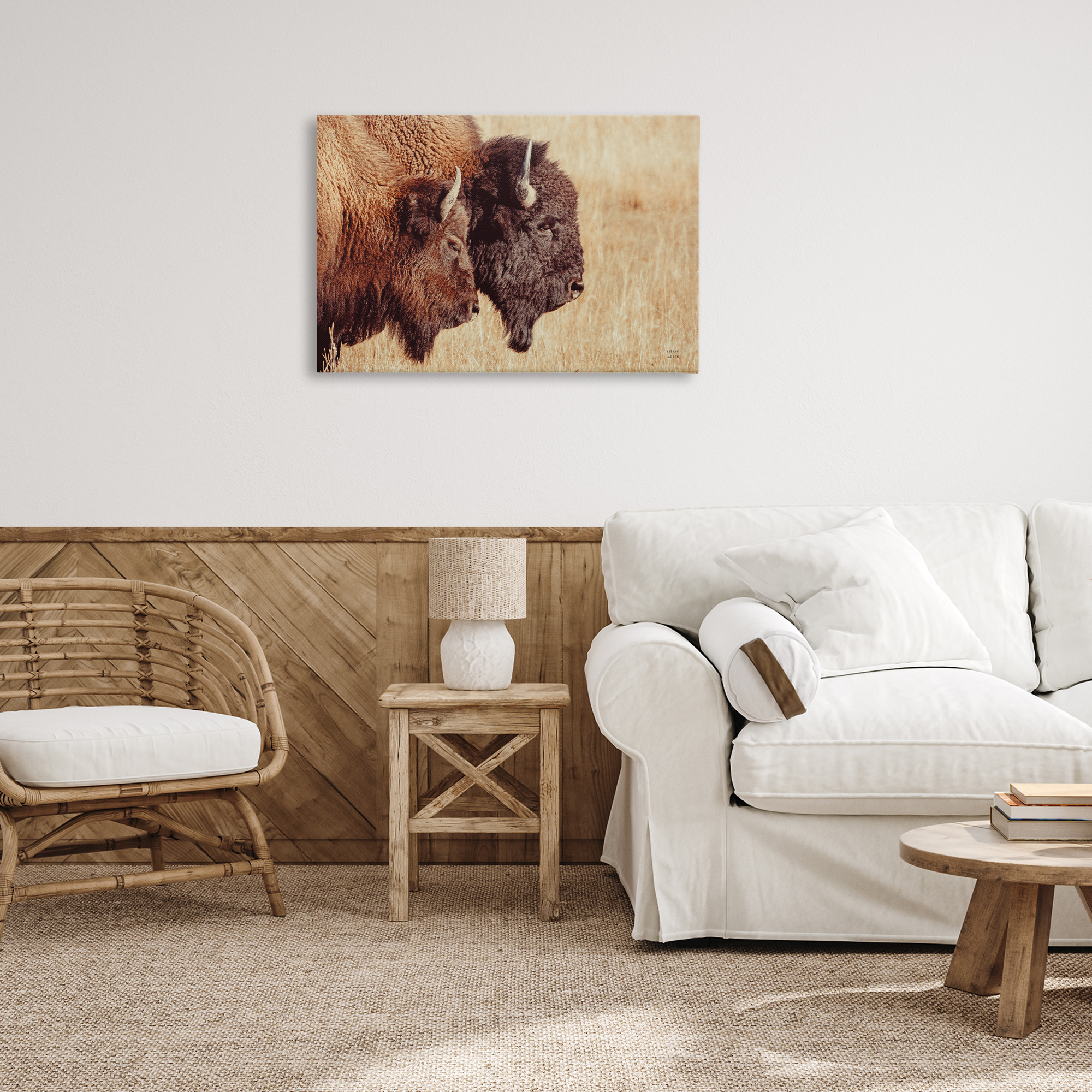Stupell Industries Bison Pair in Countryside Animals Photography Wrapped Canvas Art Print Wall Art, 30 x 20